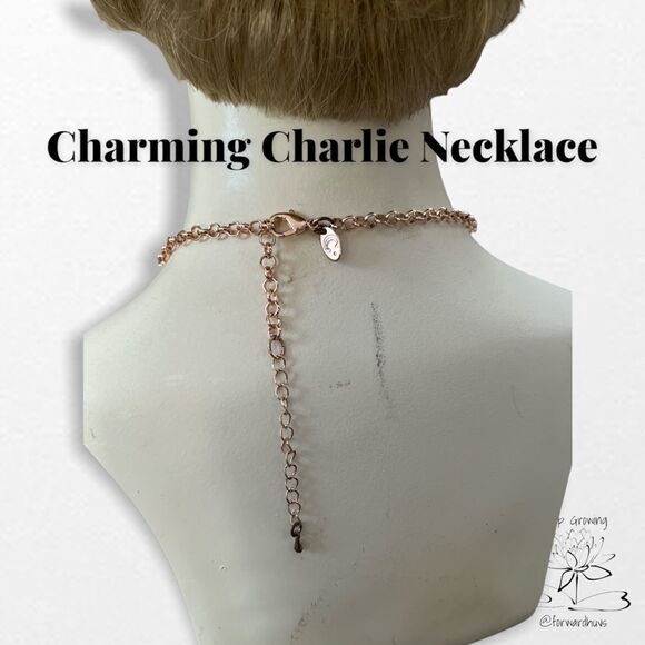 Charming Charlie Rose Gold Necklace - Sparkling Peach Accents - Picture 5 of 6
